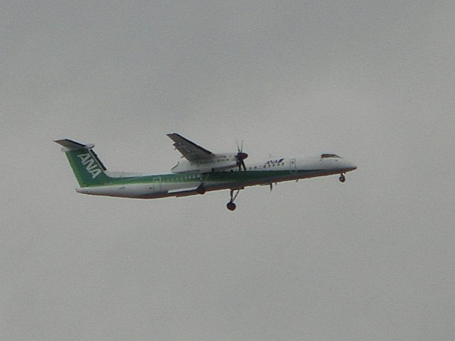 ꡼󥫥顼DHC-8-Q400Ǥ