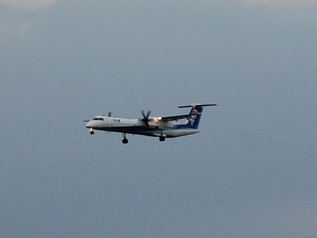 ANADHC-8-Q400Ǥ