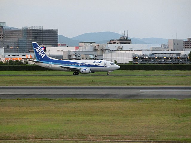 ANAB737-500Ǥ