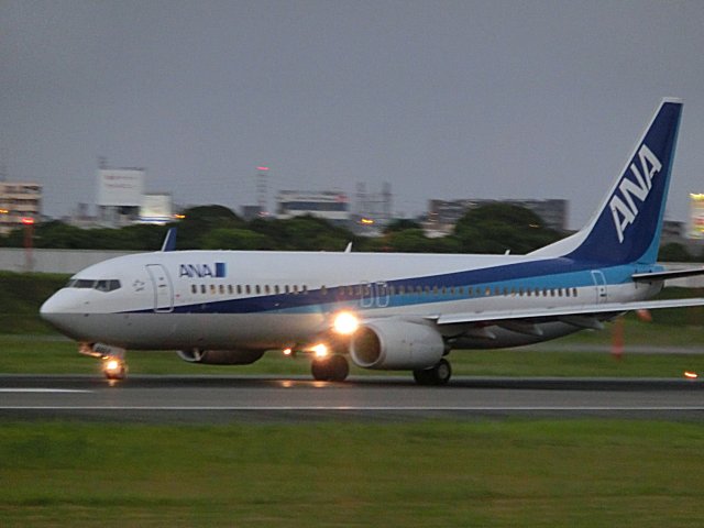 ANAB737-800Ǥ